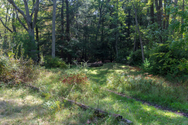 Clearing in Shingletown Gap in Centre County Pennsylvania