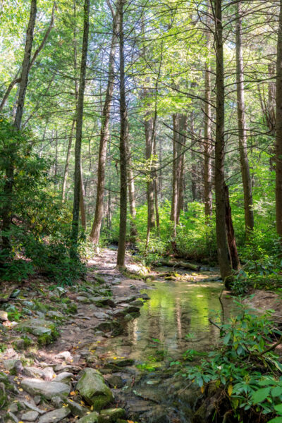 The Lower Trail follows close to Roaring Run in Centre County PA