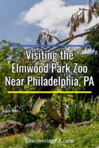 Elmwood Park Zoo in Norristown Pennsylvania