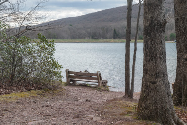 Bench on the shore of Locust Lake in Pennsylvania