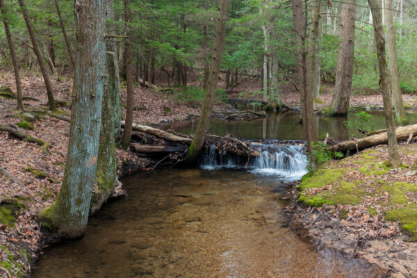Natural dam waterfall in Locust Lake State Park in Schuylkill County, PA