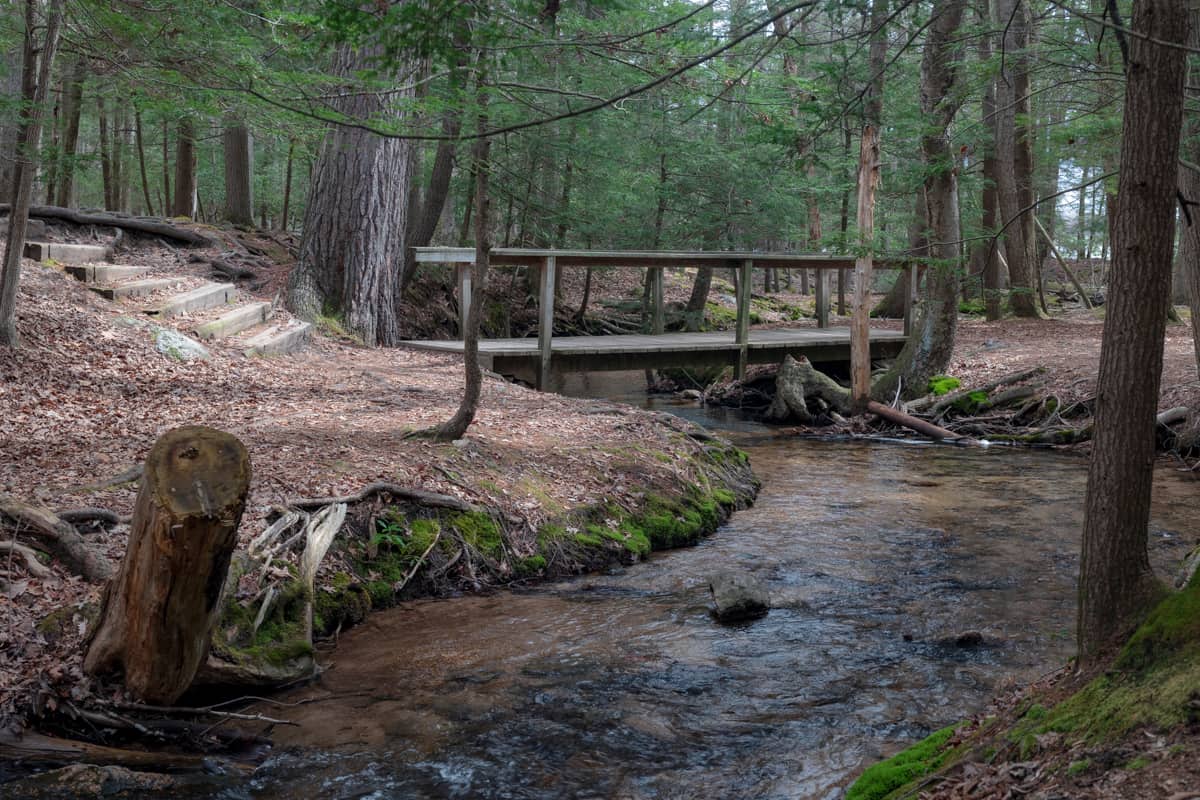 Hiking Through Locust Lake State Park in Schuylkill County - Uncovering PA