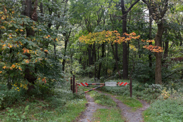 Trailhead for the Mountain View Trail in Blue Knob State Park in Bedford County, PA