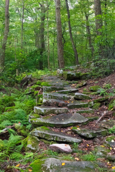 Old stone steps along the Pavia Lookout Loop in Blue Knob State Park in Bedford County, Pennsylvania