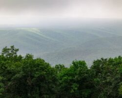 Hiking the Pavia Lookout Loop in Blue Knob State Park