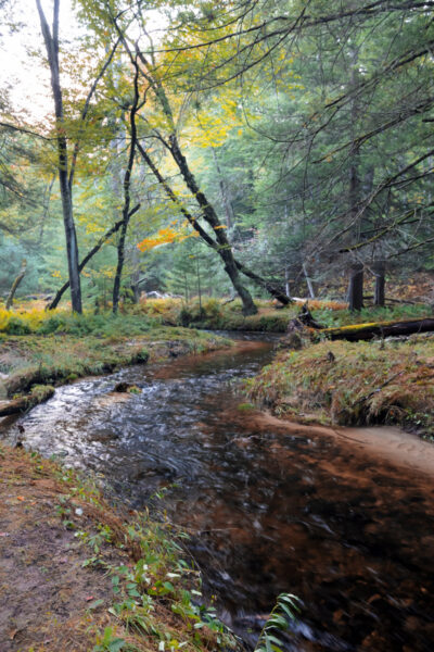 Big Poe Creek in Poe Valley State Park in Centre County Pennsylvania