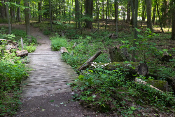 Trail with a small footbridge in Asbury Woods in Erie County Pennsylvania