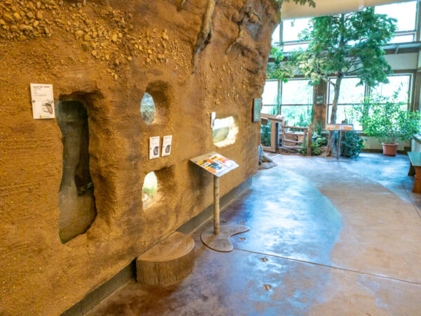 Tanks inside the Conner Nature Center at Asbury Woods in Erie Pennsylvania