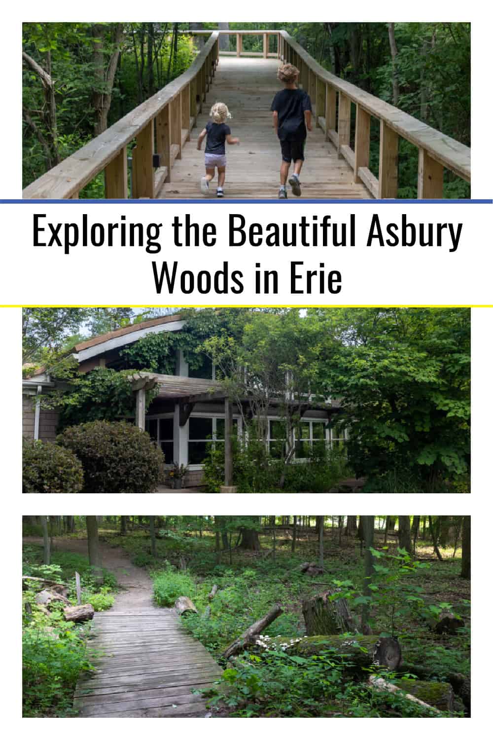 Exploring the Beautiful Asbury Woods in Erie Uncovering PA