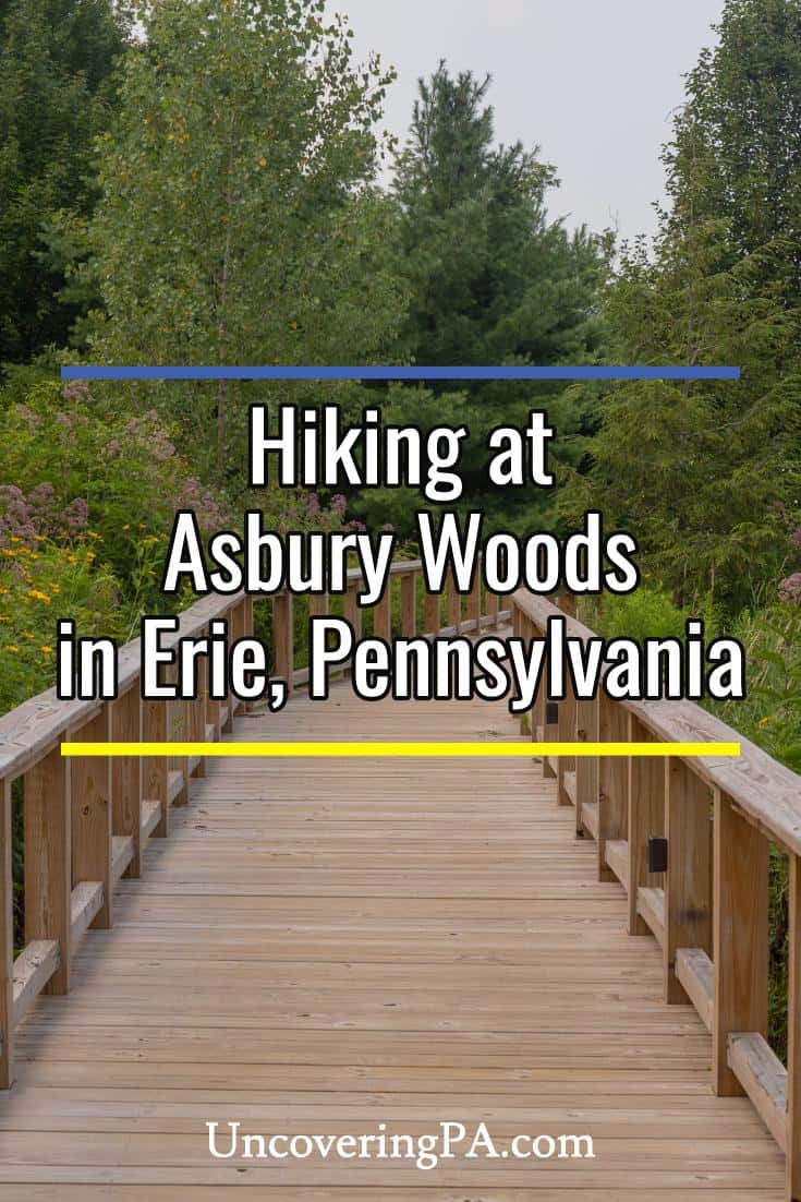 Exploring the Beautiful Asbury Woods in Erie Uncovering PA