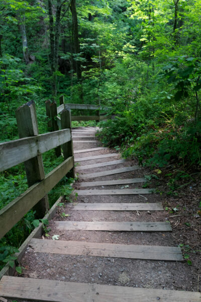 Staircase down to Tytoona Cave near Tyrone, PA