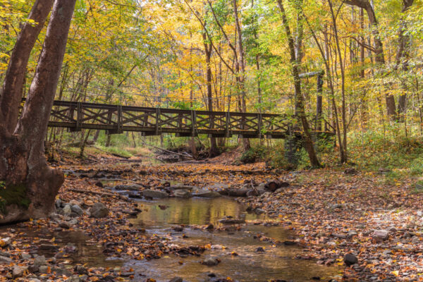 Fall colors surround the swinging bridge in Pennsylvania's Cedar Creek Park.