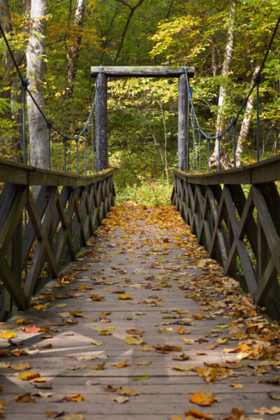 Leaves cover the swinging bridge in Cedar Creek Park in Westmoreland County PA