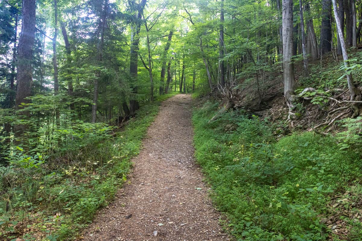 Hiking the Hassen Creek Nature Trail at Fogelsville Dam Park Near 