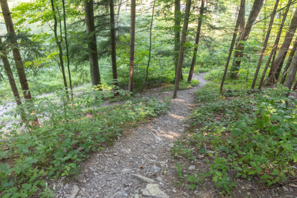 The Hassen Creek Nature Trail heading downhill in the Lehigh Valley of Pennsylvania