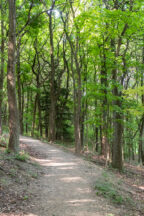 Hiking the Hassen Creek Nature Trail at Fogelsville Dam Park Near ...