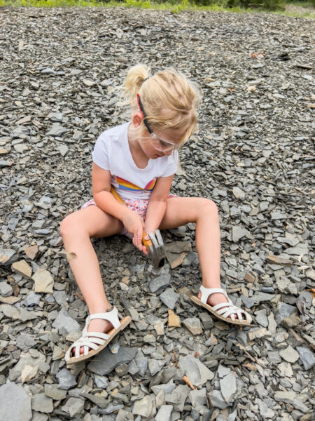 Young girl digging for fossils in the Montour Preserve in PA