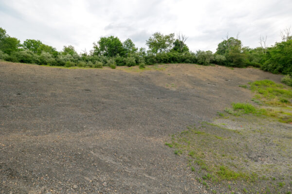 Fossil Hunting at the Montour Preserve Fossil Pit - Uncovering PA