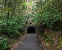 How to Get to Poe Paddy Tunnel in Bald Eagle State Forest