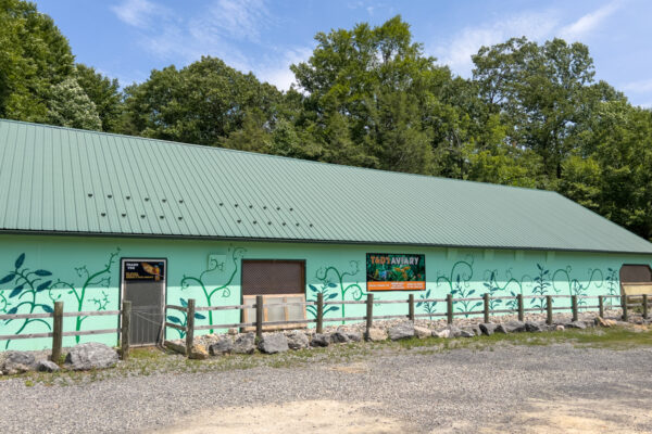 The aviary at T&Ds Cats of the World in Pennsylvania