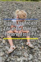 Montour Preserve Fossil Pit in Pennsylvania