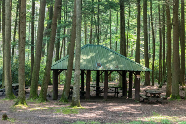 Pavilion at the Alan Seeger Natural Area in PA