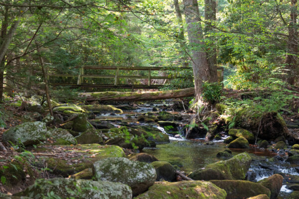 Bridge over a creek on the Switchback Railroad Trail in Jim Thorpe PA