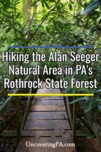 Alan Seeger Natural Area of Rothrock State Forest in Pennsylvania