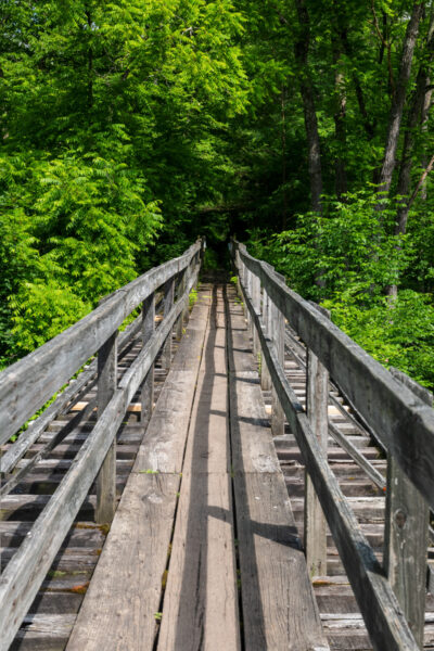 Wooden bridge on the Penn's Creek Trail in Bald Eagle State Forest