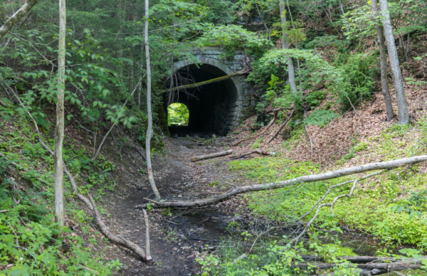Overgrown entrance to Coburn Tunnel in Bald Eagle State Forest in PA