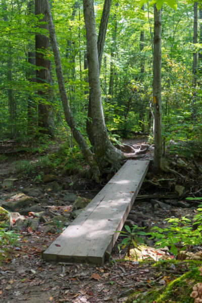 Wooden bridge on the Tram Road Trail in Laurel Hill State Park in Pennsylvania