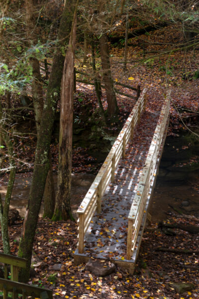 Wooden Bridge in the Todd Nature Reserve in PA