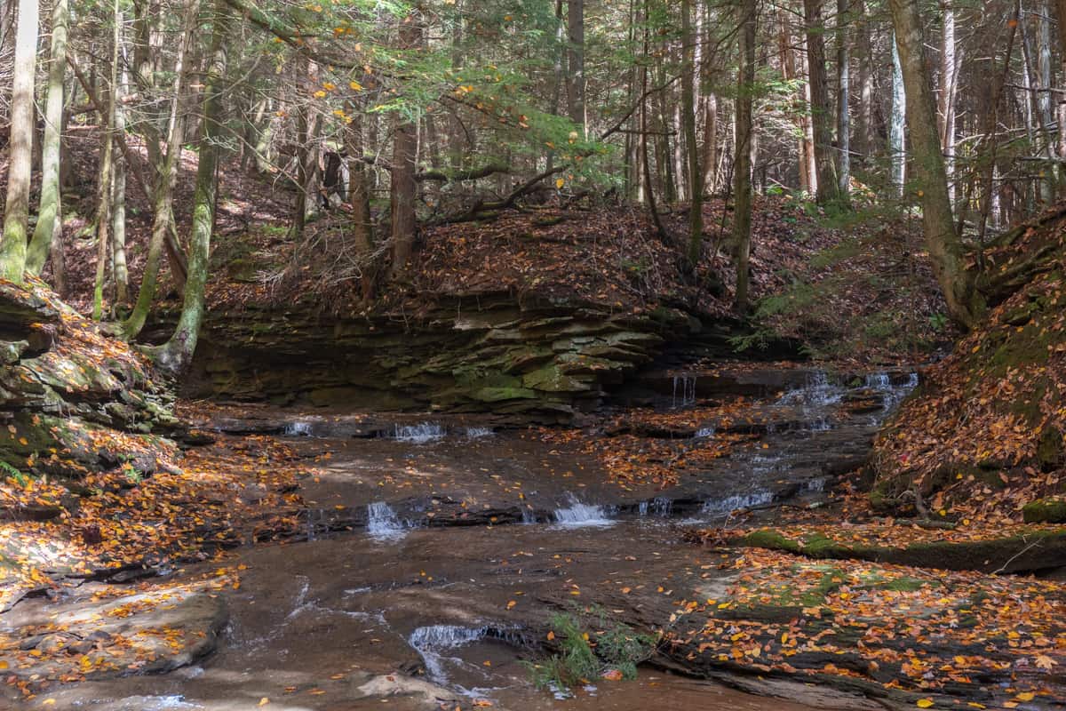 Hiking Through the Todd Nature Reserve in Butler County, PA - Uncovering PA