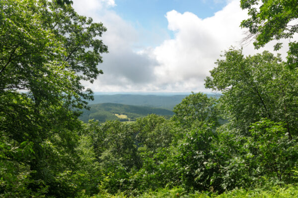 View from Ralph's Majestic Vista in Centre County PA