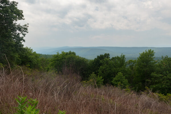 Bear Gap Vista in Rothrock State Forest in PA