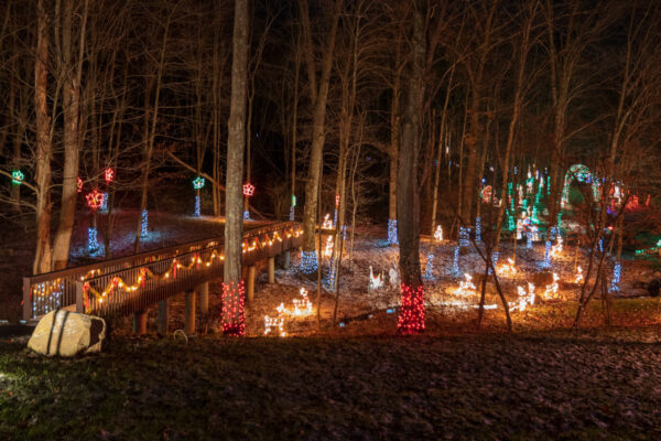 Holiday lights displays within trees at the Christmas Light Up in Clinton PA