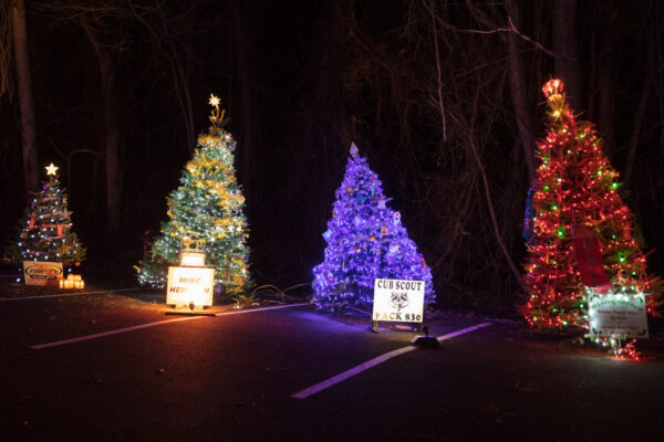 Decorated Christmas trees at Christmas Light Up Celebration near Pittsburgh PA