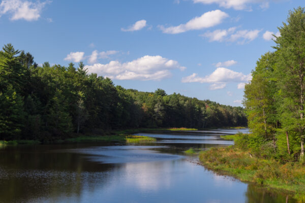 Lake in the Dorflinger-Suydam Wildlife Sanctuary in White Mills PA