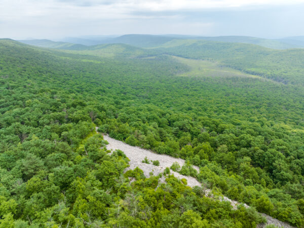 View from above Indian Wells Overlook in Rothrock State Forest in PA