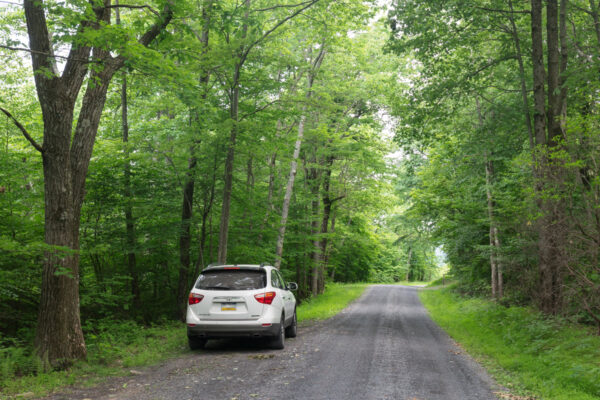 Car parked on Bear Gap Road in Rothrock State Forest in PA
