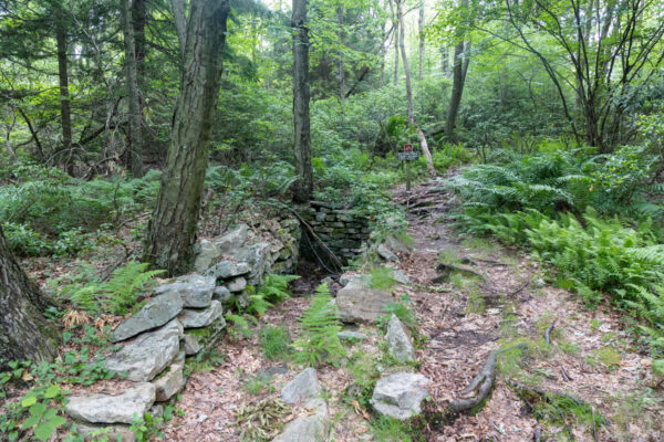 Ruins of Keith Spring in Rothrock State Forest in Centre County PA