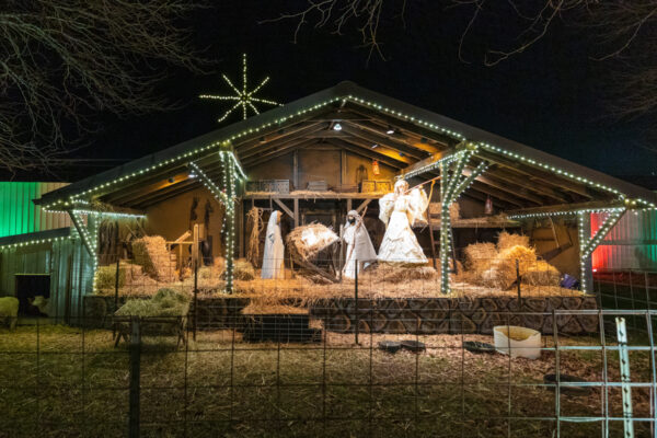 Large nativity at Overly's Country Christmas in Greensburg PA
