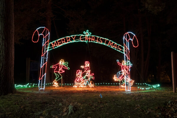 Skating lights at Cascade Park's Cascade of Lights in PA