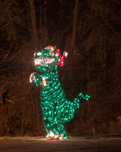 T-rex light at Cascade of Lights in New Castle's Cascade Park