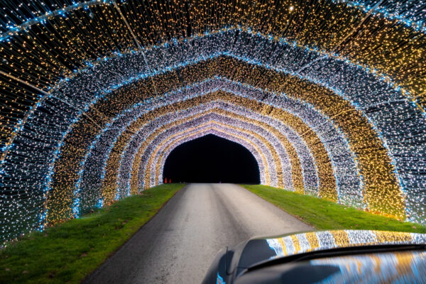 Driving through a tunnel at the Festival of Lights in Tunkhannock PA
