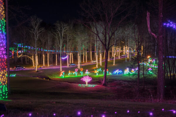 Forested area covered in Christmas lights at Stone Hedge Golf Course in Tunkhannock PA