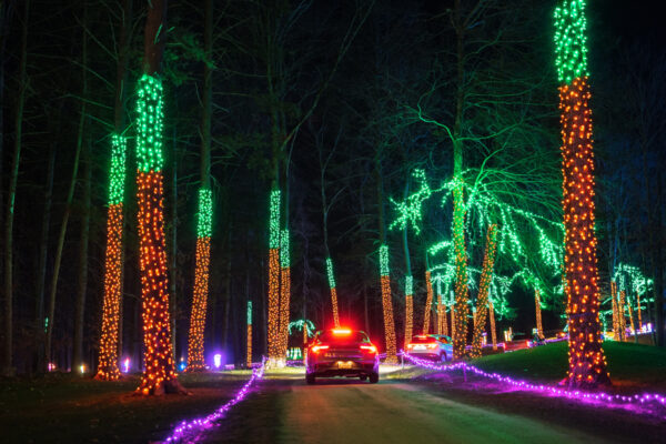 Car driving through lit trees at the Festival of Lights near Tunkhannock PA