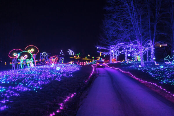 Purple Under the Sea Lights at the Festival of Lights in Tunkhannock Pennsylvania