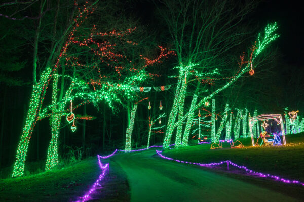 Green lights and a manger at the Festival of Lights at Stone Hedge Golf Course in Tunkhannock PA