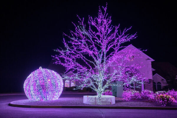 Purple lights at the Festival of Lights in Northeastern Pennsylvania